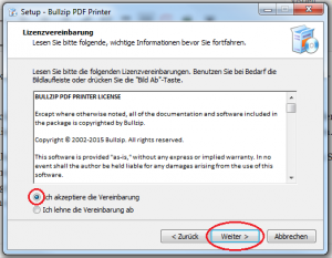 Setup-Bullzip-Lizenzvereinbarung-akzeptieren-weiter-markiert